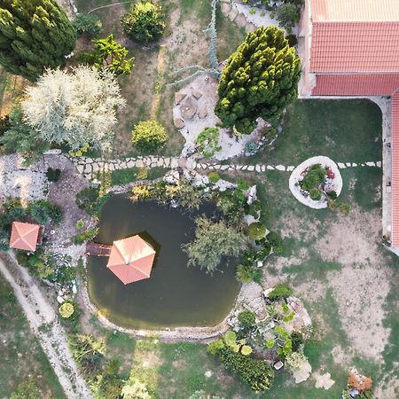 Villa Garden 절러에게르세그 외부 사진