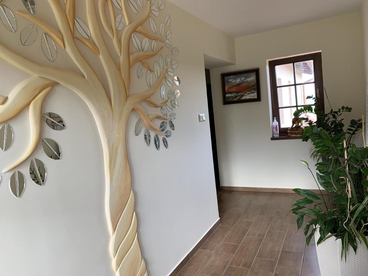 Villa Garden 절러에게르세그 외부 사진