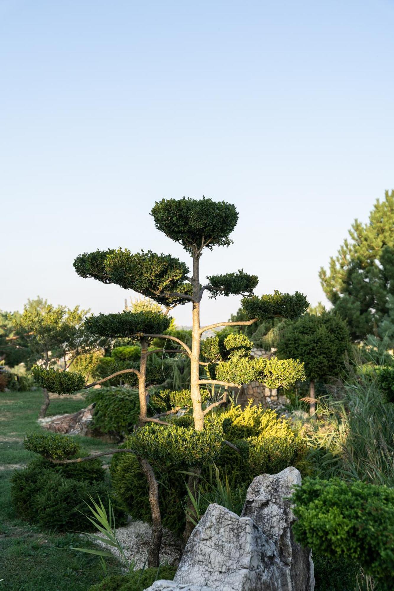 Villa Garden 절러에게르세그 외부 사진